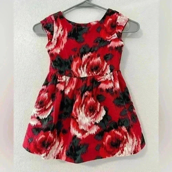 248. Gap Kids Girls Dress Red Floral rose size 4-5t - Picture 1 of 4